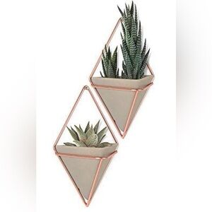 Umbra TRIGG Wall Vessels